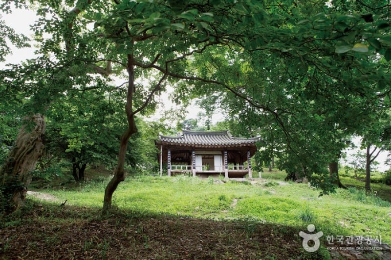 潭陽 鳴玉軒 苑林  (1/6)