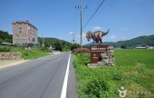 和順 西酉里 恐龍足跡化石産地
