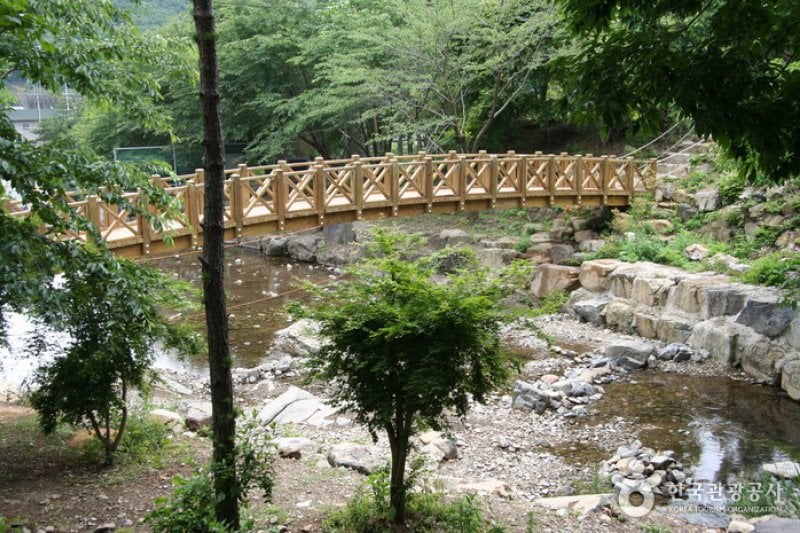 帝岩山自然休養林（제암산자연휴양림） (1/6)