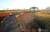 太平塩生植物園