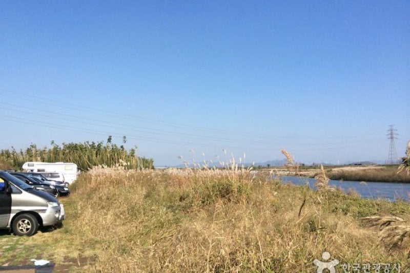 潭陽竹林（潭陽湿地）（담양대나무숲(담양습지)） (3/4)
