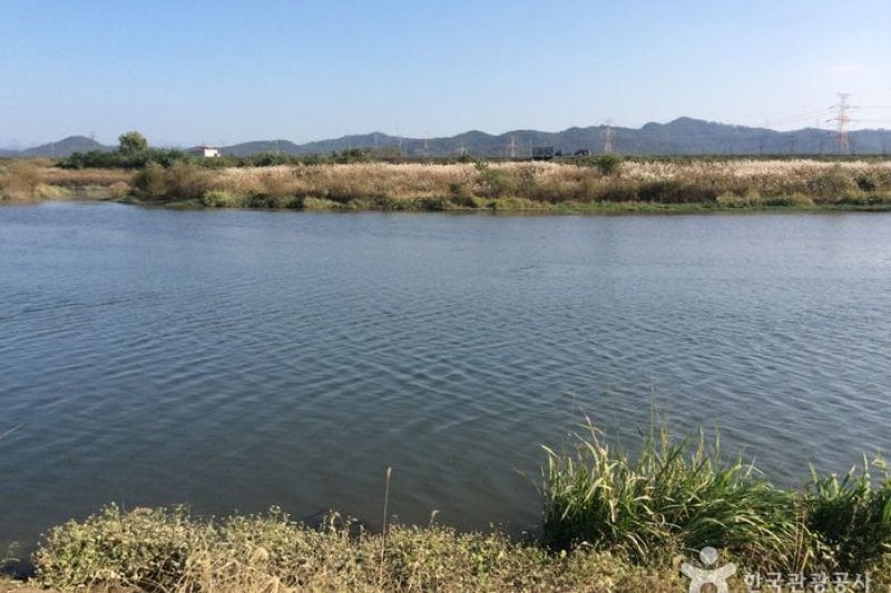 潭陽竹林（潭陽湿地）（담양대나무숲(담양습지)） (4/4)
