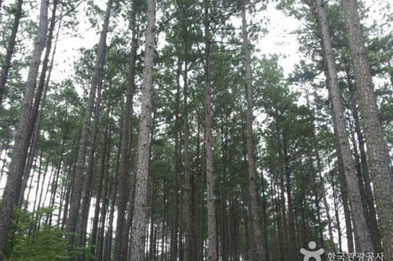 白雲山 (4/10)