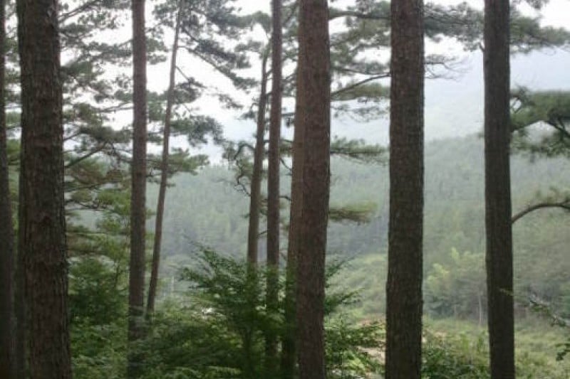 白雲山 (5/10)