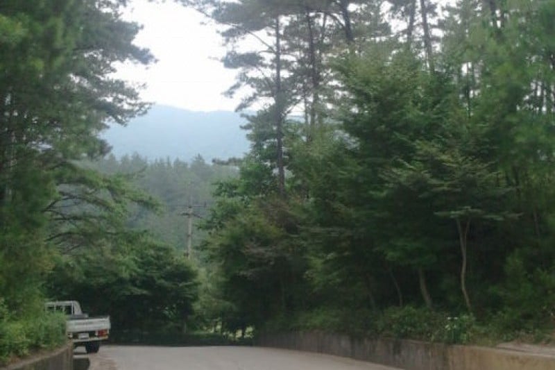 白雲山 (8/10)