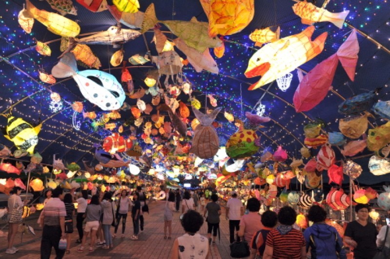 木浦港口祭り (12/14)