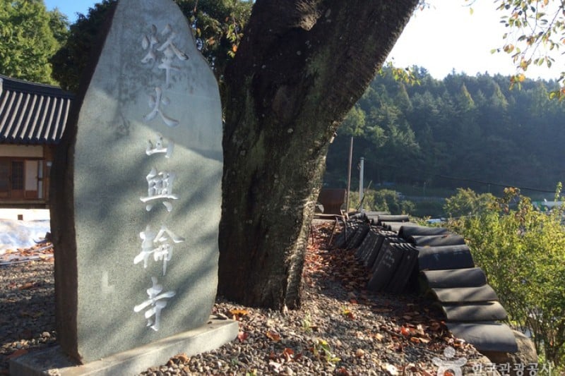 興輪寺 (3/5)
