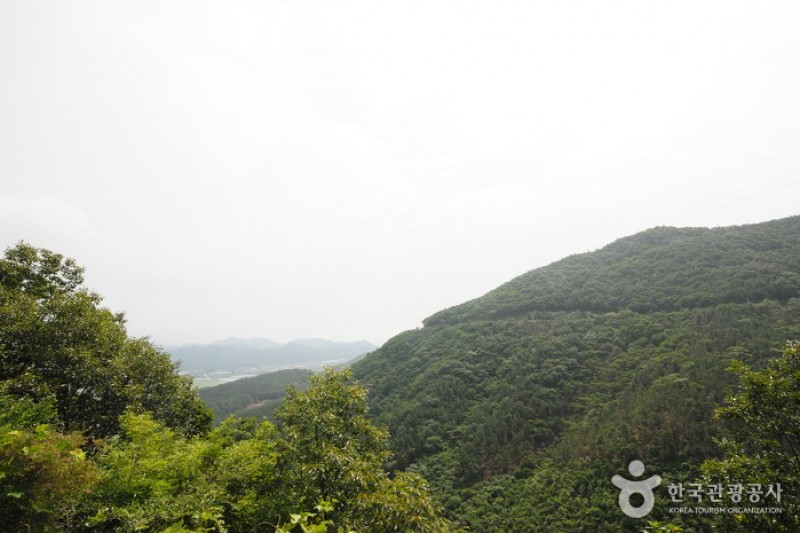 国立天冠山自然休養林 (2/20)