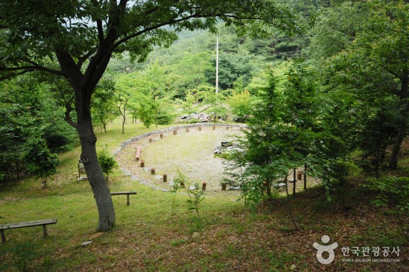 国立天冠山自然休養林 (8/20)