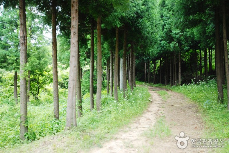 国立天冠山自然休養林 (20/20)