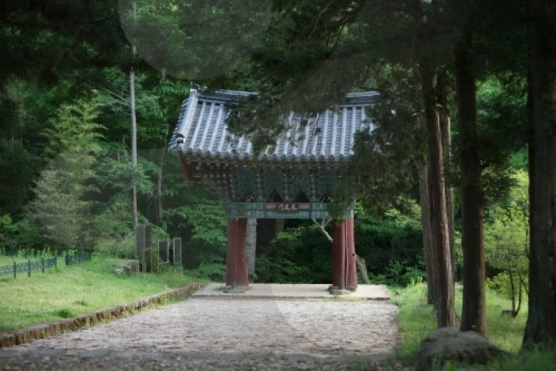 泰安寺 (8/15)