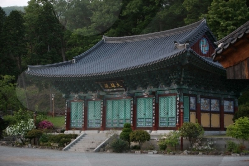 泰安寺 (11/15)