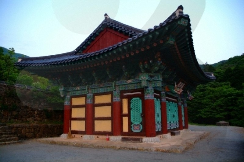 泰安寺 (14/15)