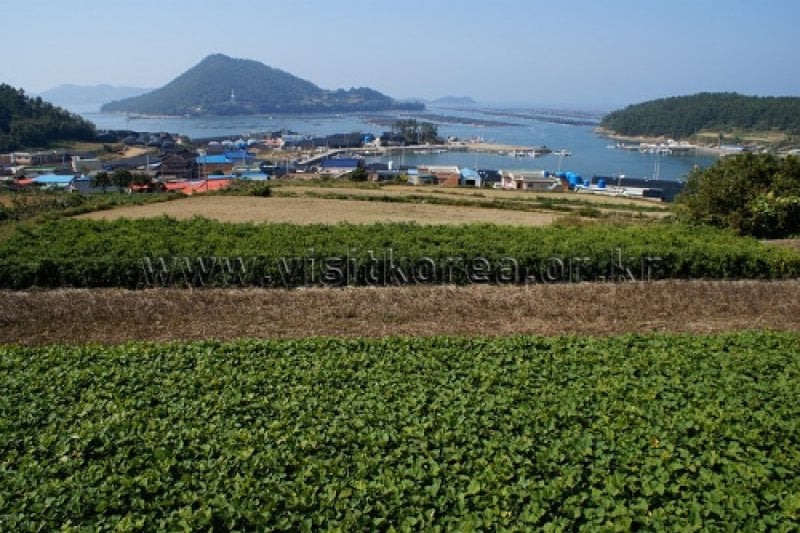 蘆花島 (8/13)