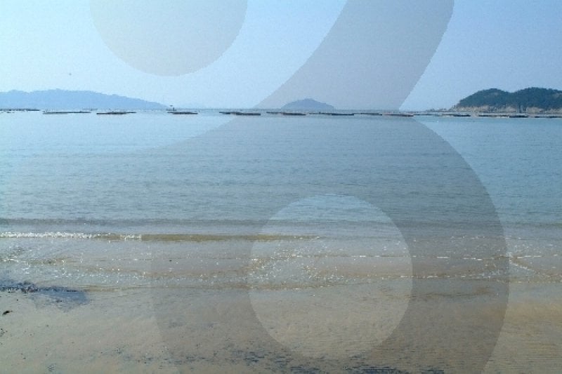 池里青松海岸 (2/2)