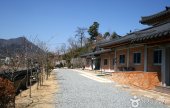 自然染色博物館