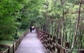 大邱樹木園