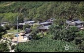 大邱オッコル村