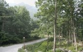 琵瑟山自然休養林