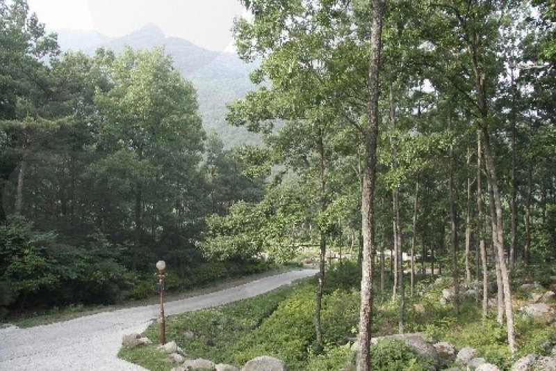 琵瑟山自然休養林 (1/10)
