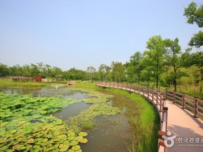 ハンバッ樹木園