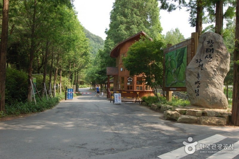 長泰山自然休養林 (1/19)