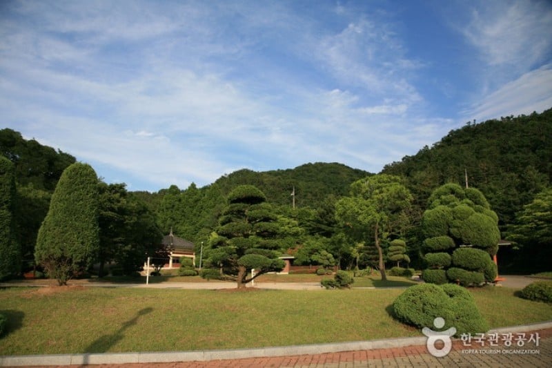 宝文山大公園 (1/26)