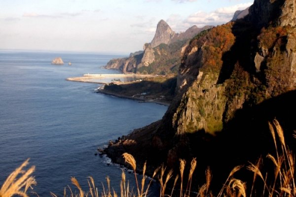 鬱陵島（鬱陵香木 観光モノレール）（울릉도