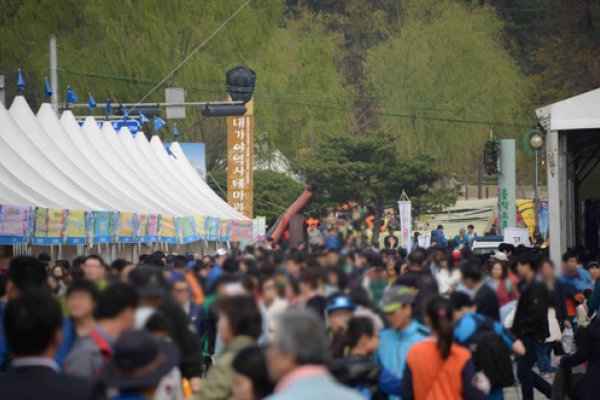 大伽倻体験祭り