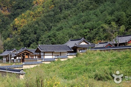 ［名品古宅］聾岩宗宅（[명품고택]농암종택）