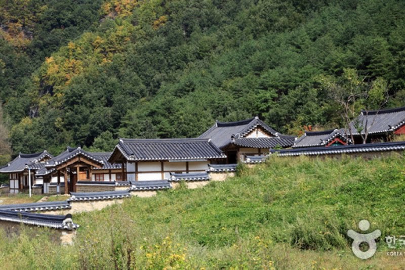 ［名品古宅］聾岩宗宅（[명품고택]농암종택） (1/52)