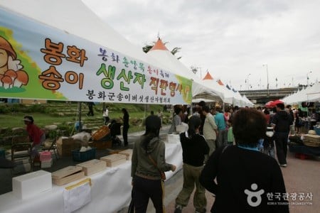 奉化松茸祭り