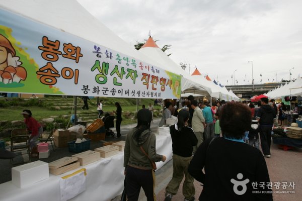 奉化松茸祭り