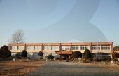 郡立青松野松美術館