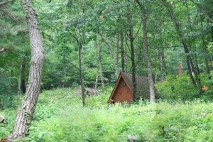 吐含山自然休養林（토함산자연휴양림）