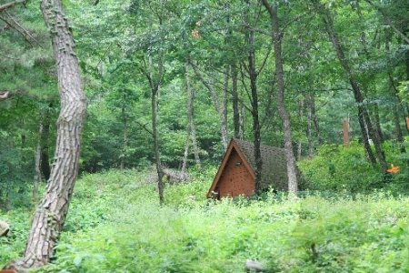 吐含山自然休養林（토함산자연휴양림）