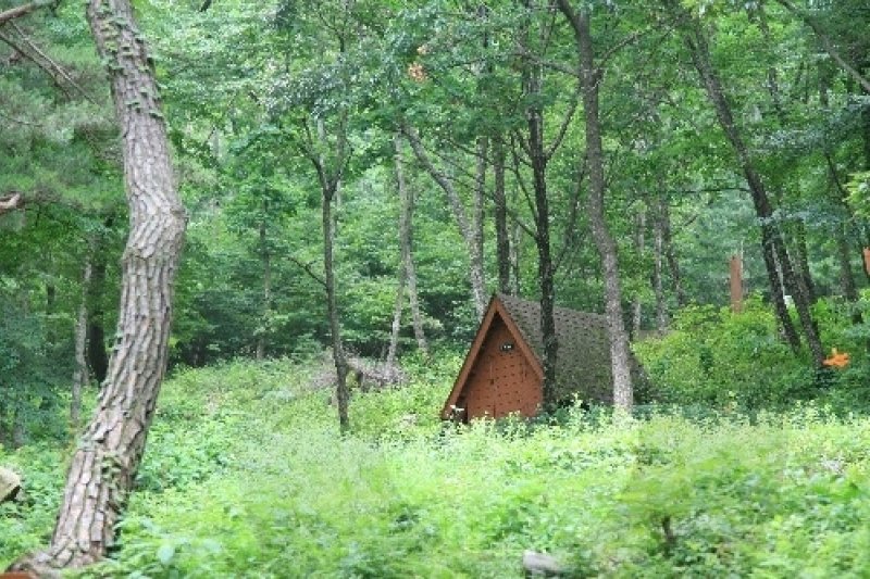 吐含山自然休養林（토함산자연휴양림） (1/11)