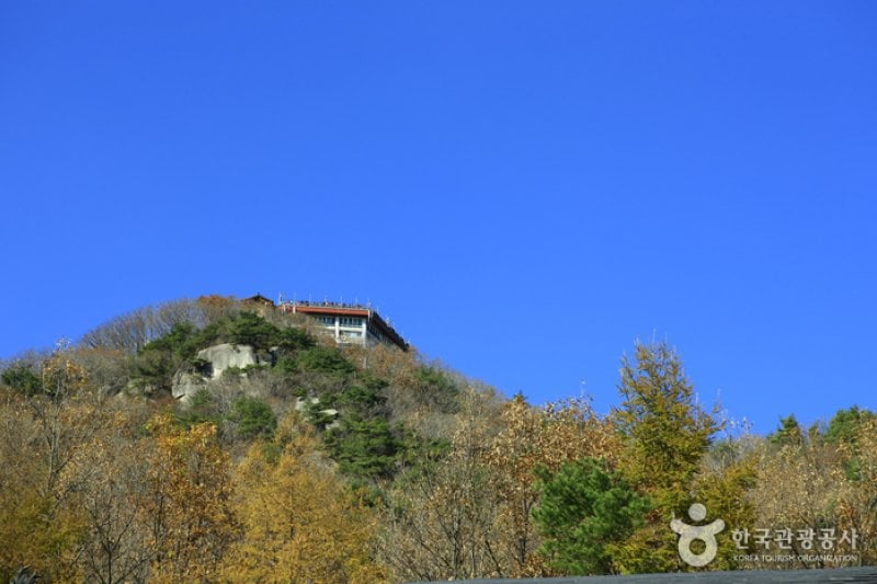 八公山自然公園（カッパウィ地区）（팔공산도립공원 (1/3)