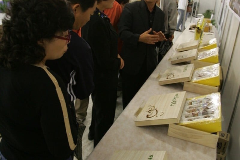 奉化松茸祭り (4/14)