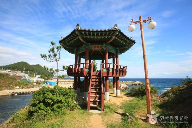 ズワイガニ元祖 車踰漁村体験村 (5/15)