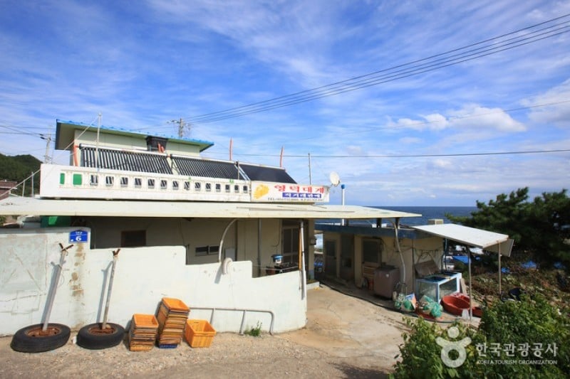 ズワイガニ元祖 車踰漁村体験村 (14/15)