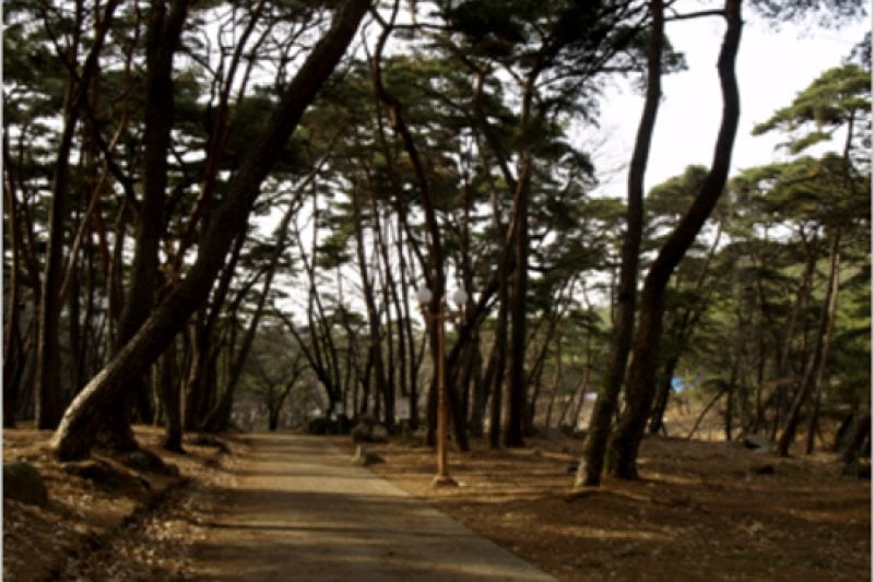 銀海寺（永川）（은해사 (2/4)