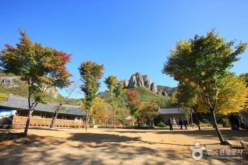 大典寺 (3/14)