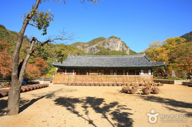 大典寺 (4/14)
