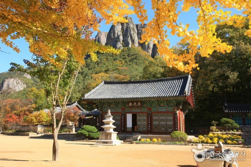 大典寺 (5/14)