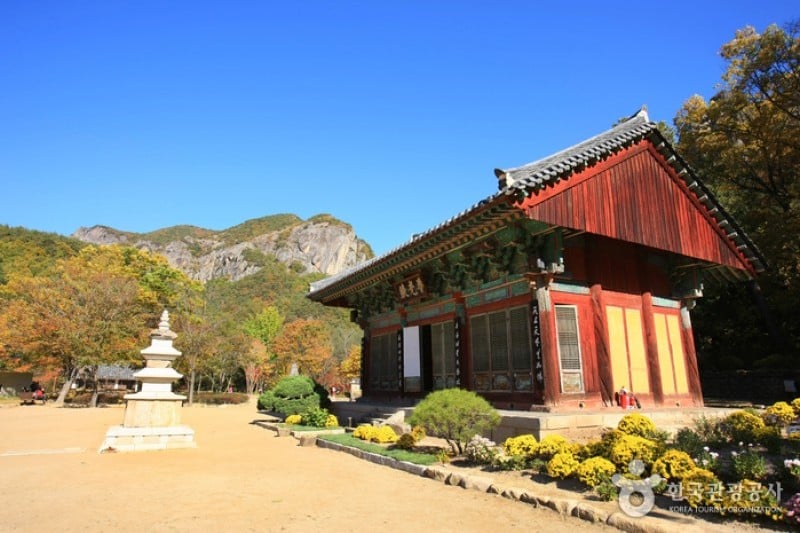 大典寺 (8/14)
