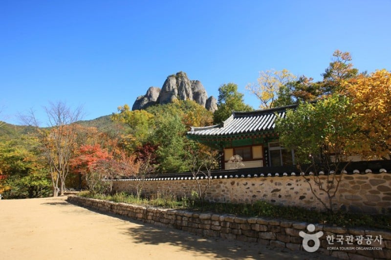 大典寺 (10/14)
