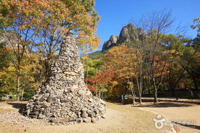 大典寺 (11/14)