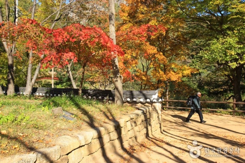 大典寺 (13/14)