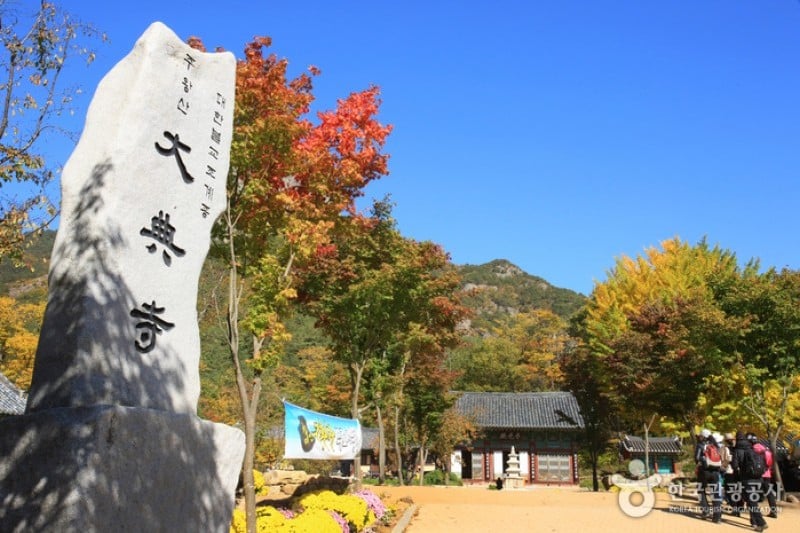 大典寺 (14/14)